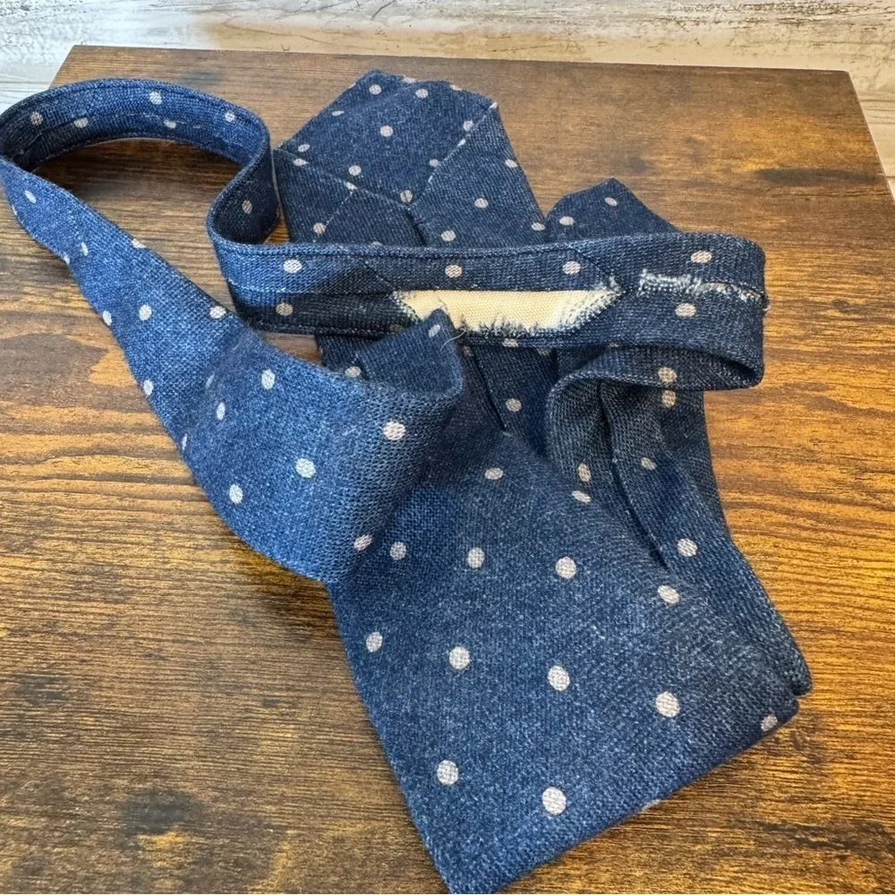 Italio Ferretti Men’ Navy Blue Polka Dot Wool Tie